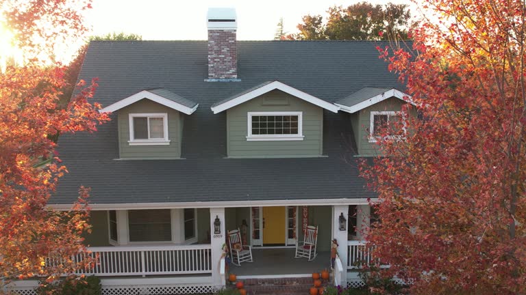 Best Skylight Installation and Repair  in La Huerta, NM