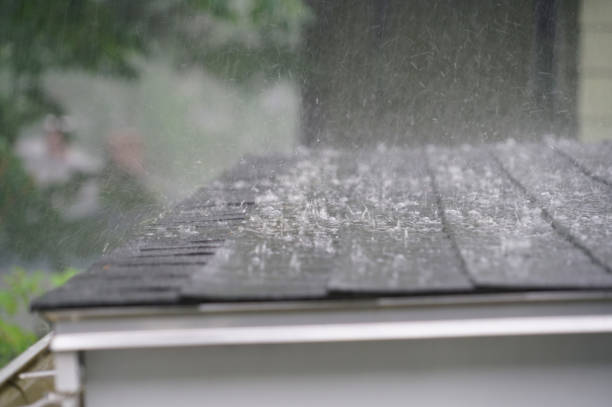 Best Roof Maintenance and Cleaning  in La Huerta, NM