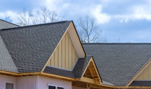 Best Roof Ventilation Installation  in La Huerta, NM