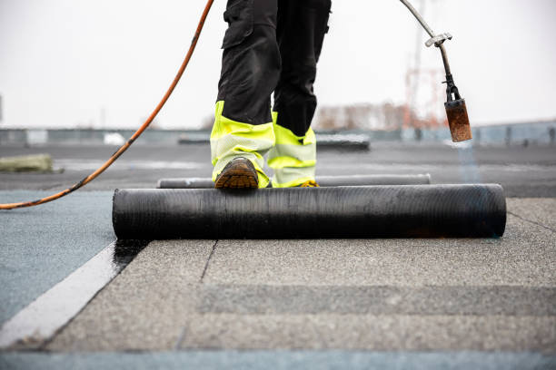 Best Solar Panel Roofing Installation  in La Huerta, NM