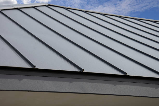 Best Commercial Roofing Services  in La Huerta, NM
